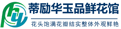 上海納軒電子科技有限公司
